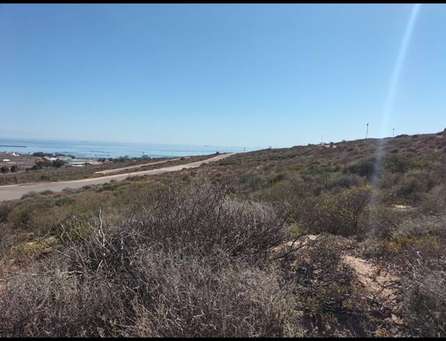 352M² VACANT LAND FOR SALE IN STEENBERGS COVE